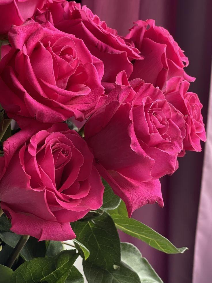 Secret Garden's Whispering Blooms